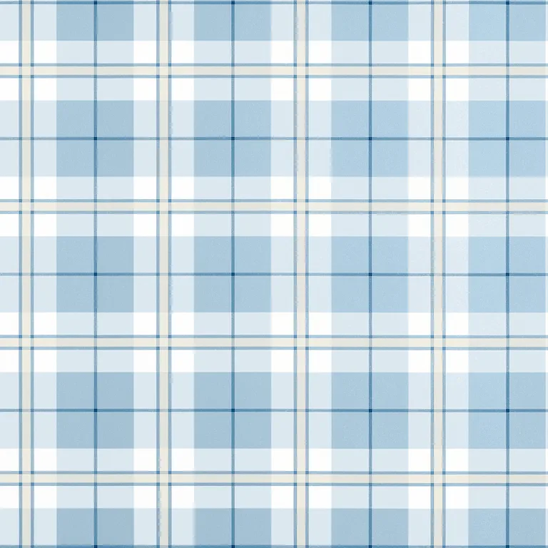 Thibaut Douglas Plaid in Light Blue (T44075)