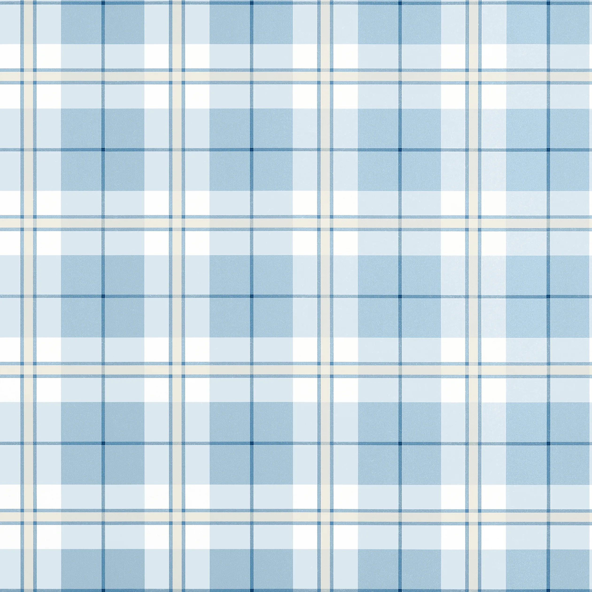 T44075 | Douglas Plaid – Light Blue