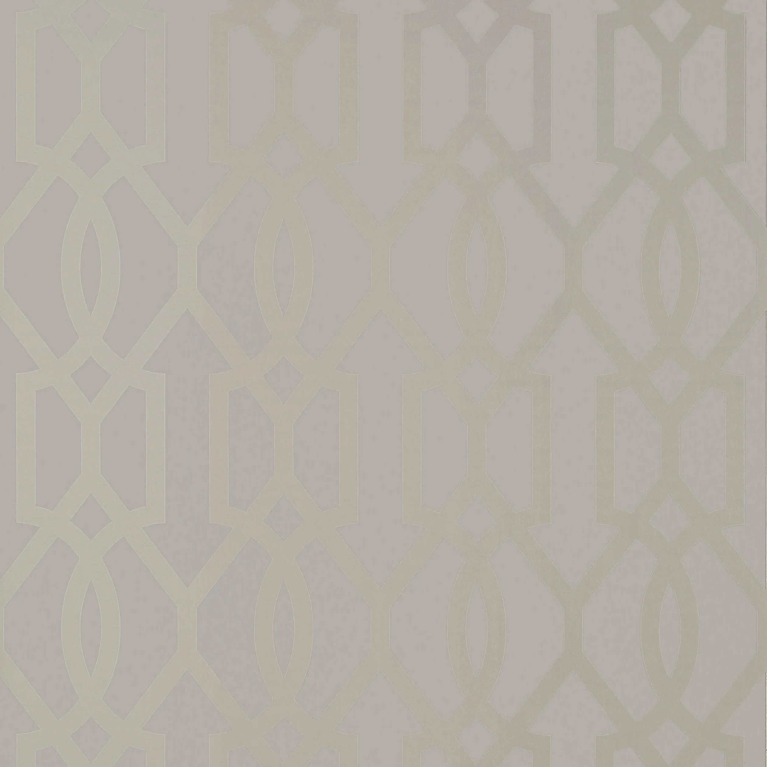 T10045 | Downing Gate – Metallic Silver on Grey