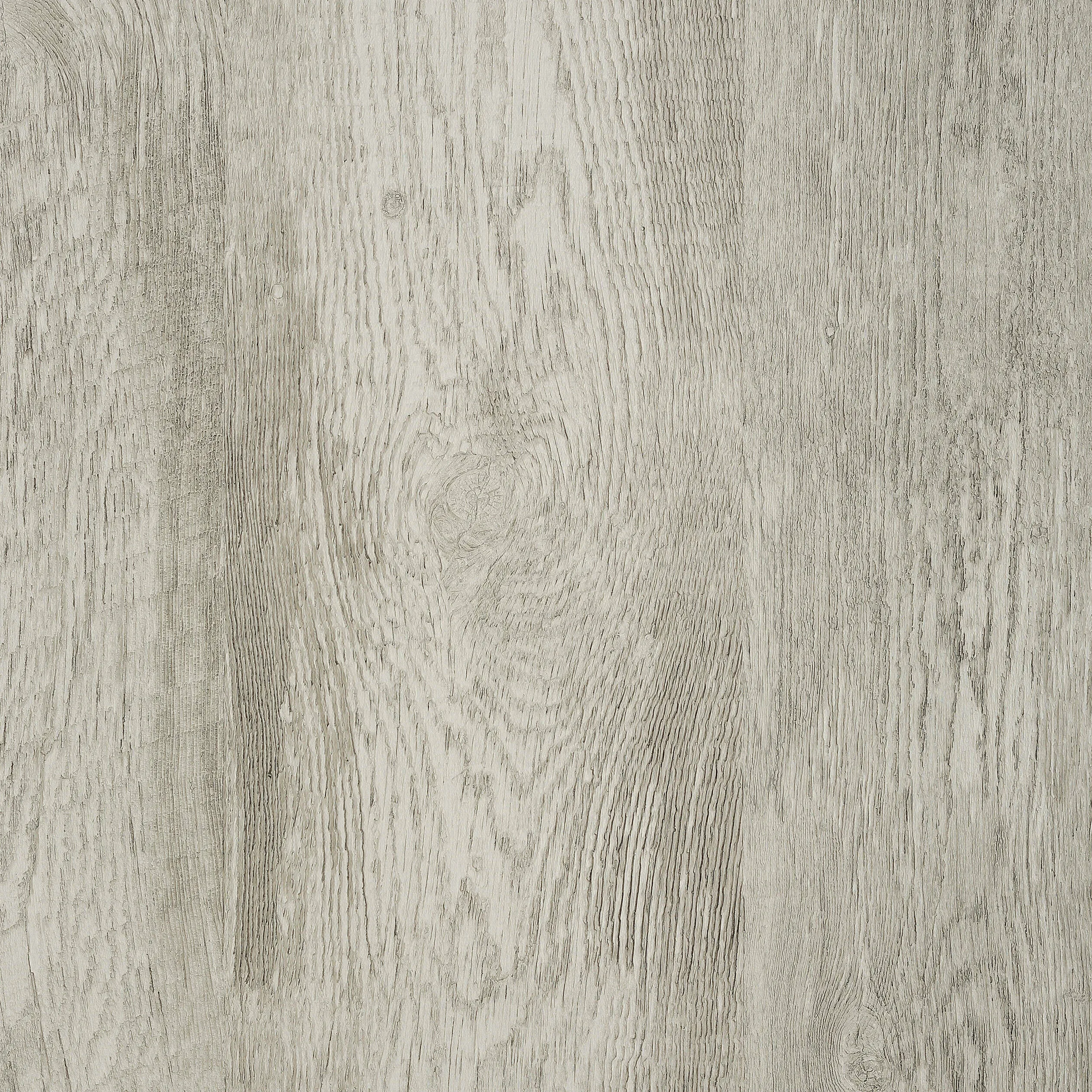 Thibaut Eastwood in Grey (T14177)