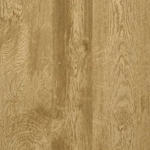 Thibaut Eastwood in Saddle (T57195)