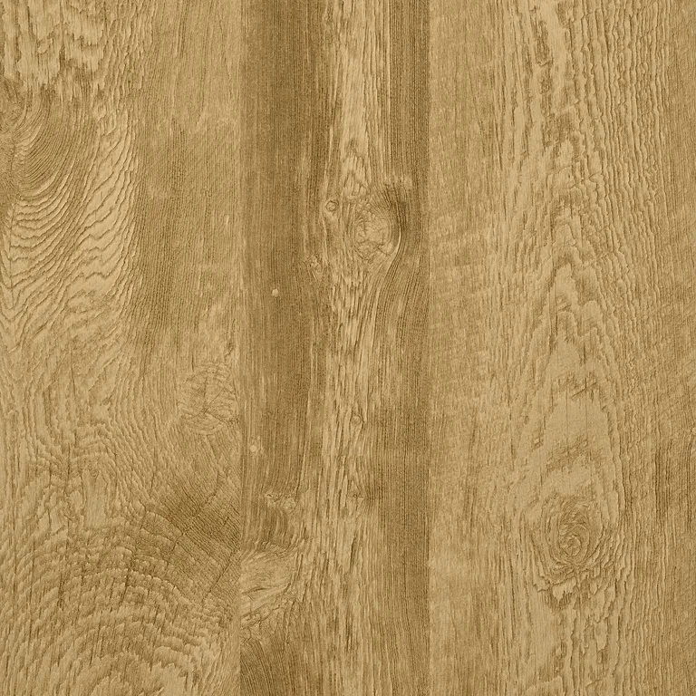 Thibaut Eastwood in Saddle (T57195)