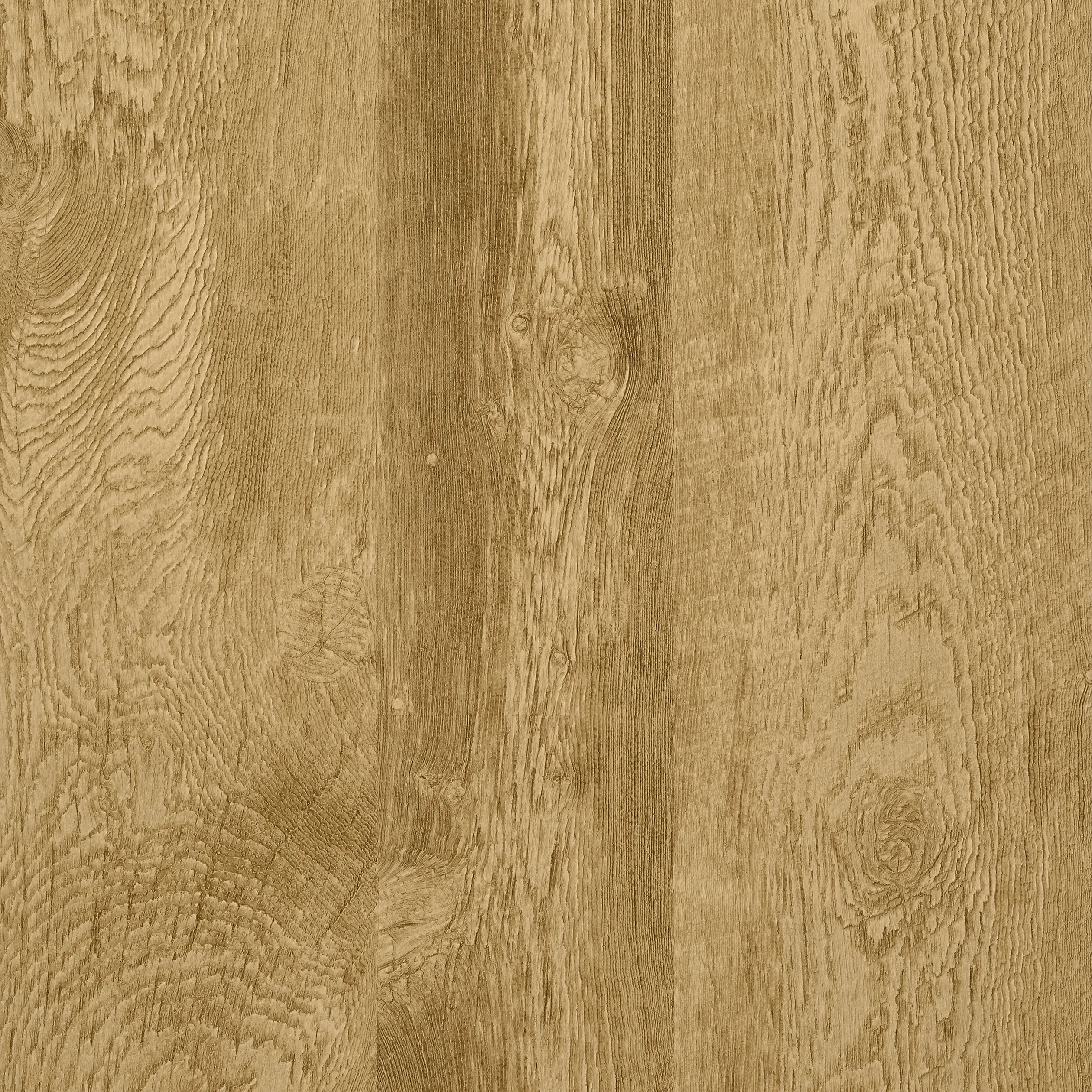 Thibaut Eastwood in Saddle (T57195)