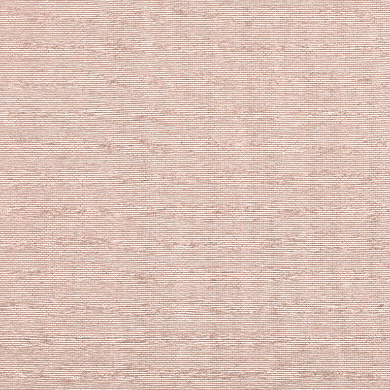Thibaut Edward's Paper in Adobe (T19702)
