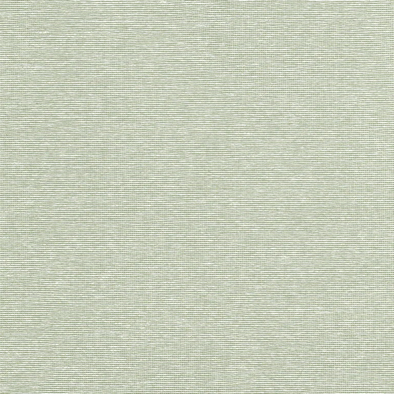 Thibaut Edward's Paper in Green (T19703)
