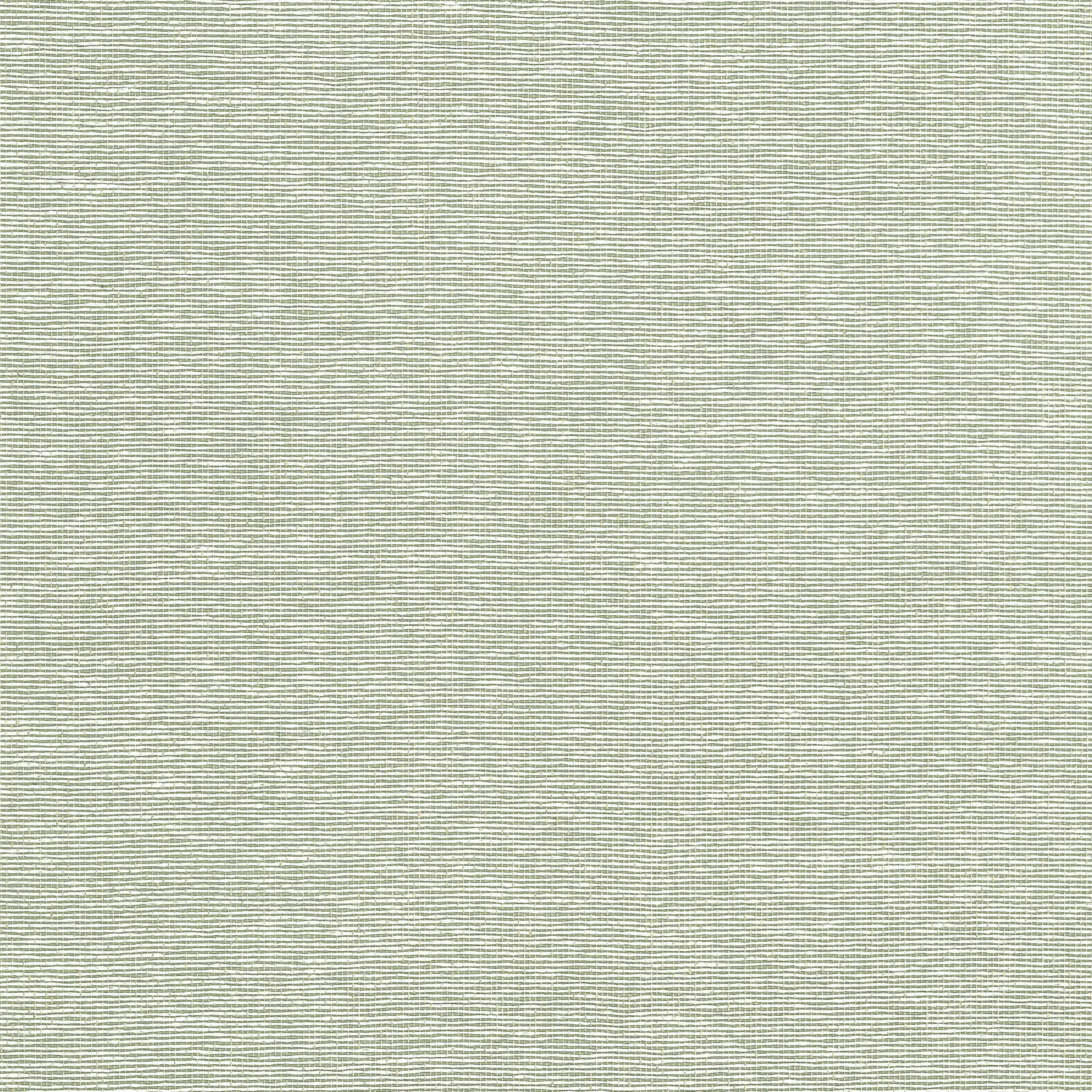 T19703 | Edward’s Paper – Green