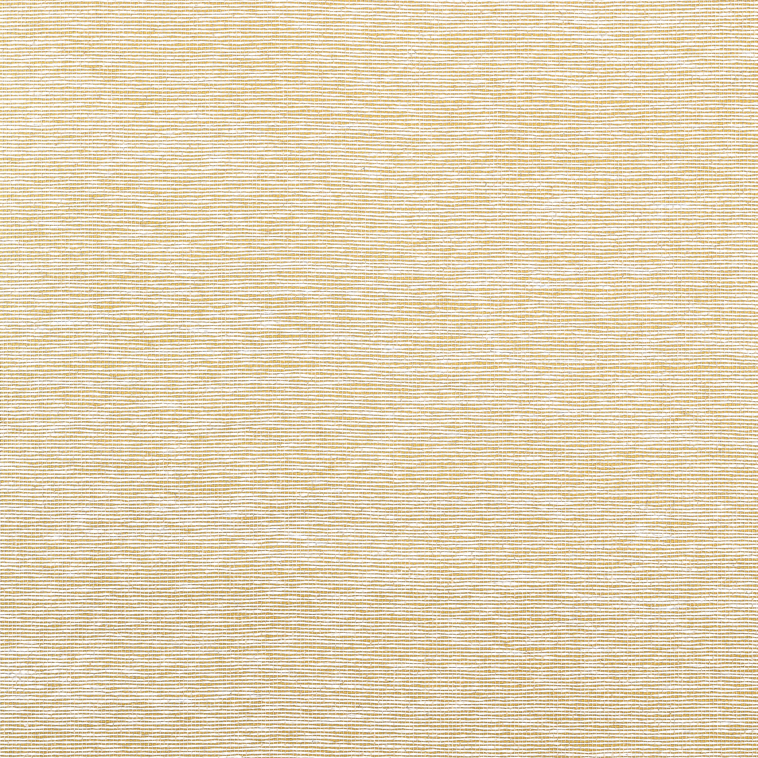 Thibaut Edward's Paper in Metallic Gold (T19697)
