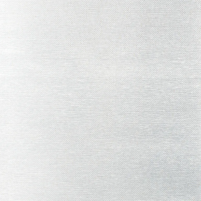 Thibaut Edward's Paper in Metallic Silver (T19698)