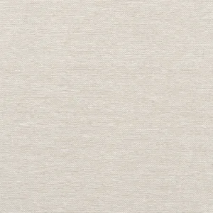 Thibaut Edward's Paper in Putty (T19696)