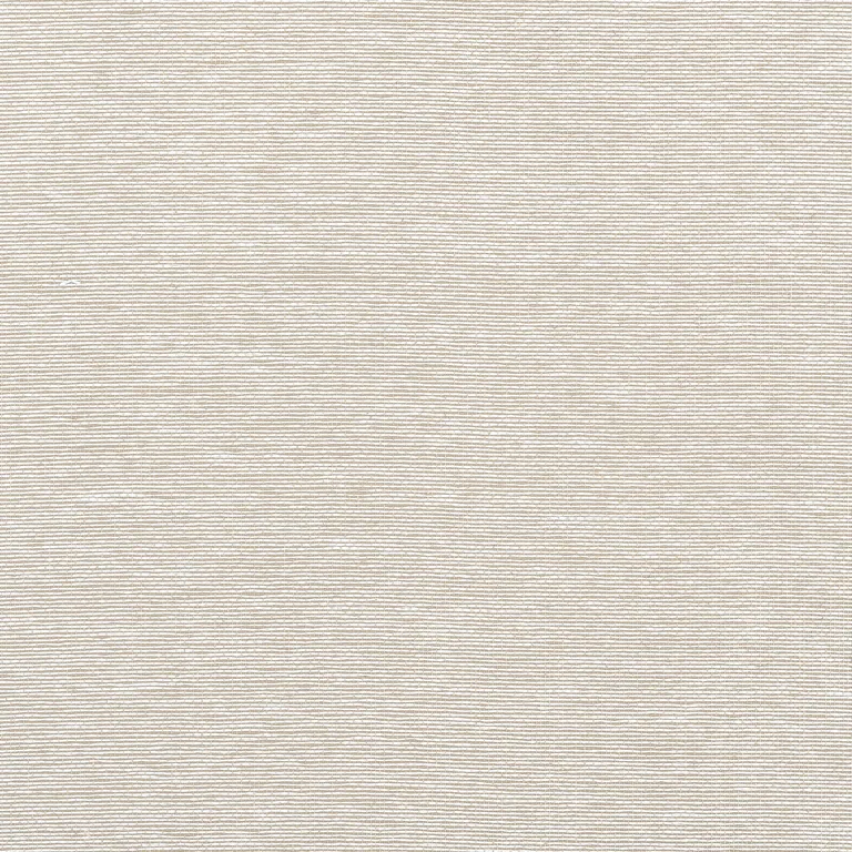 Thibaut Edward's Paper in Putty (T19696)
