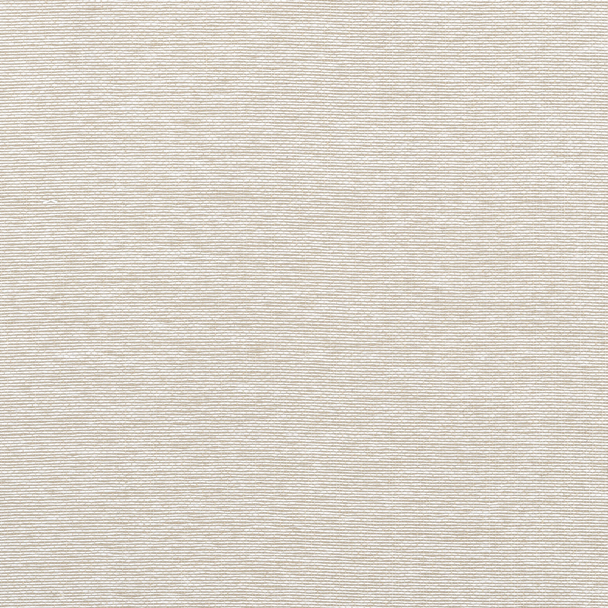 T19696 | Edward’s Paper – Putty