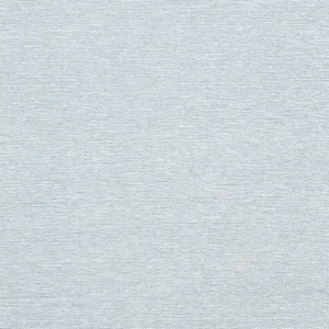 Thibaut Edward's Paper in Robin's Egg (T19699)