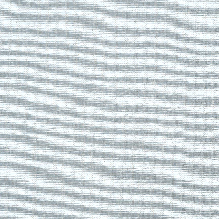 Thibaut Edward's Paper in Robin's Egg (T19699)