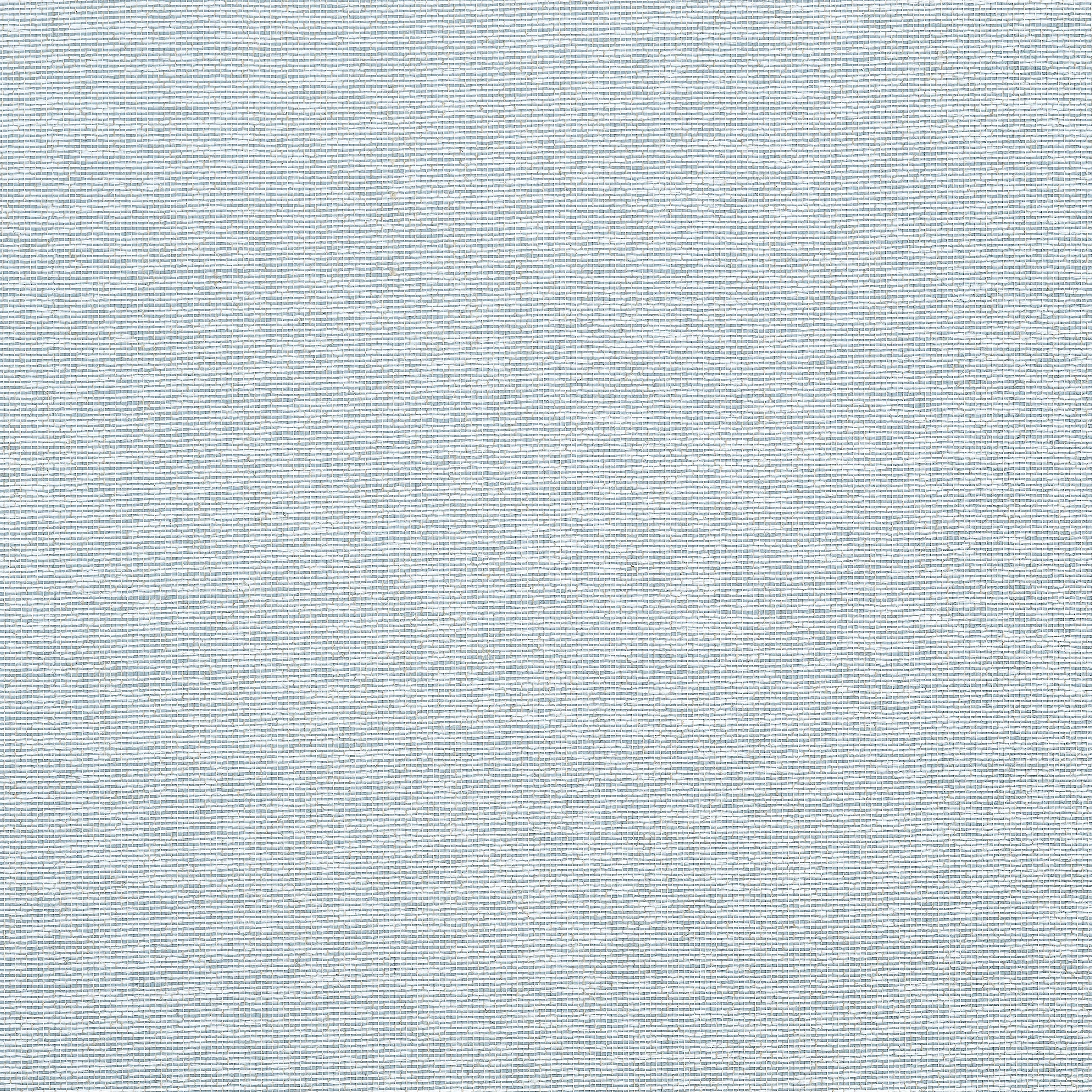 T19699 | Edward’s Paper – Robin’s Egg