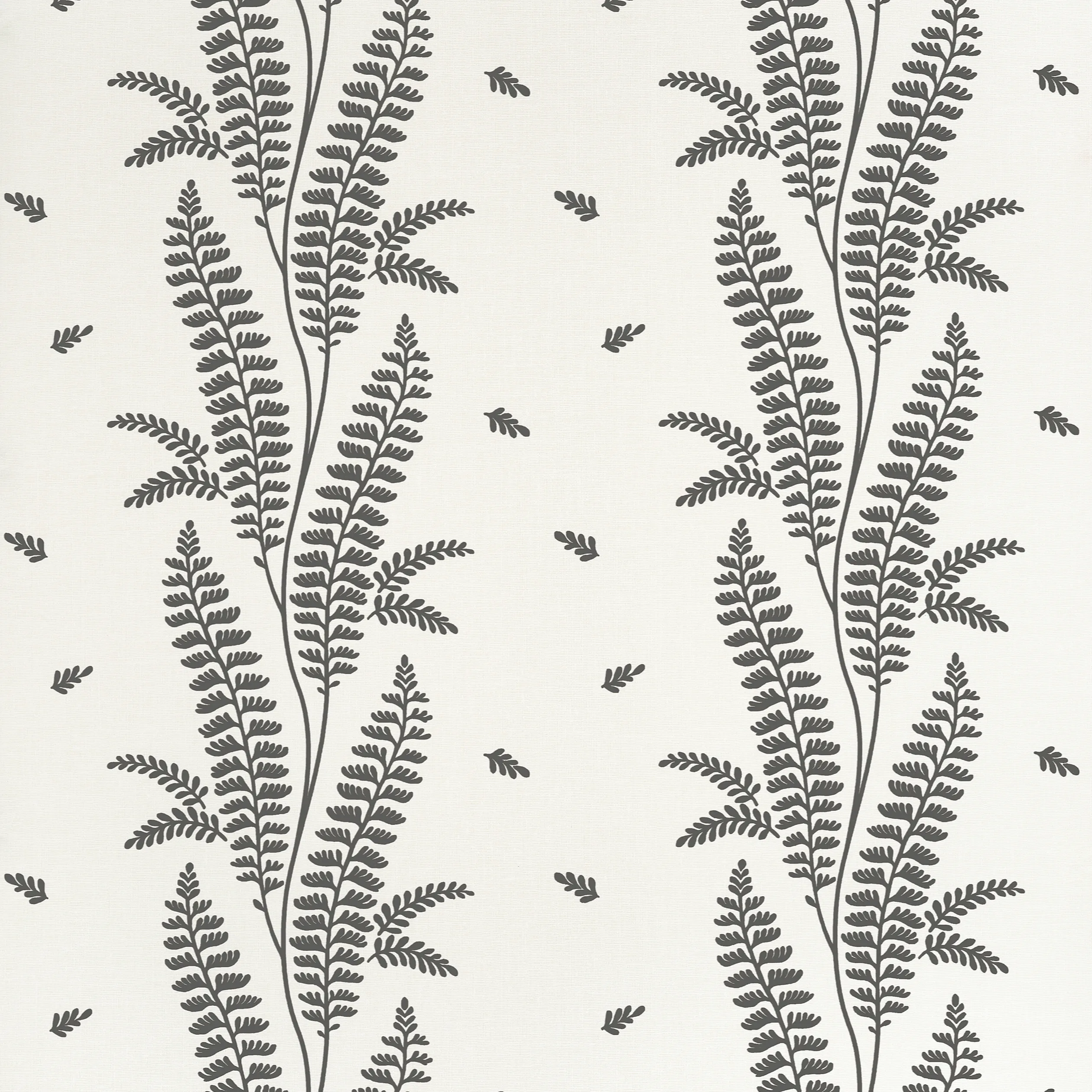 AT57884 | Ensbury Fern – Black