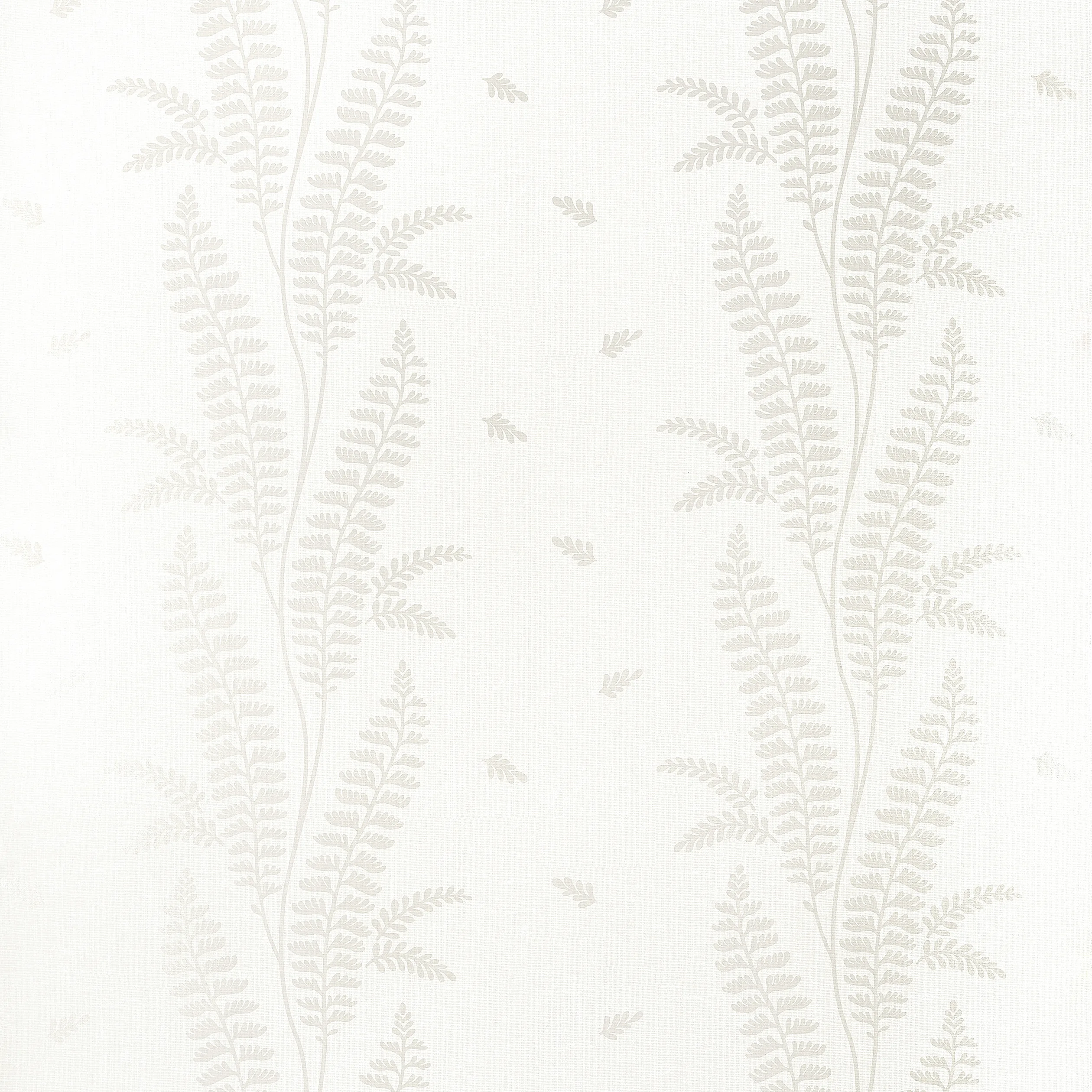 AT57885 | Ensbury Fern – Pearl