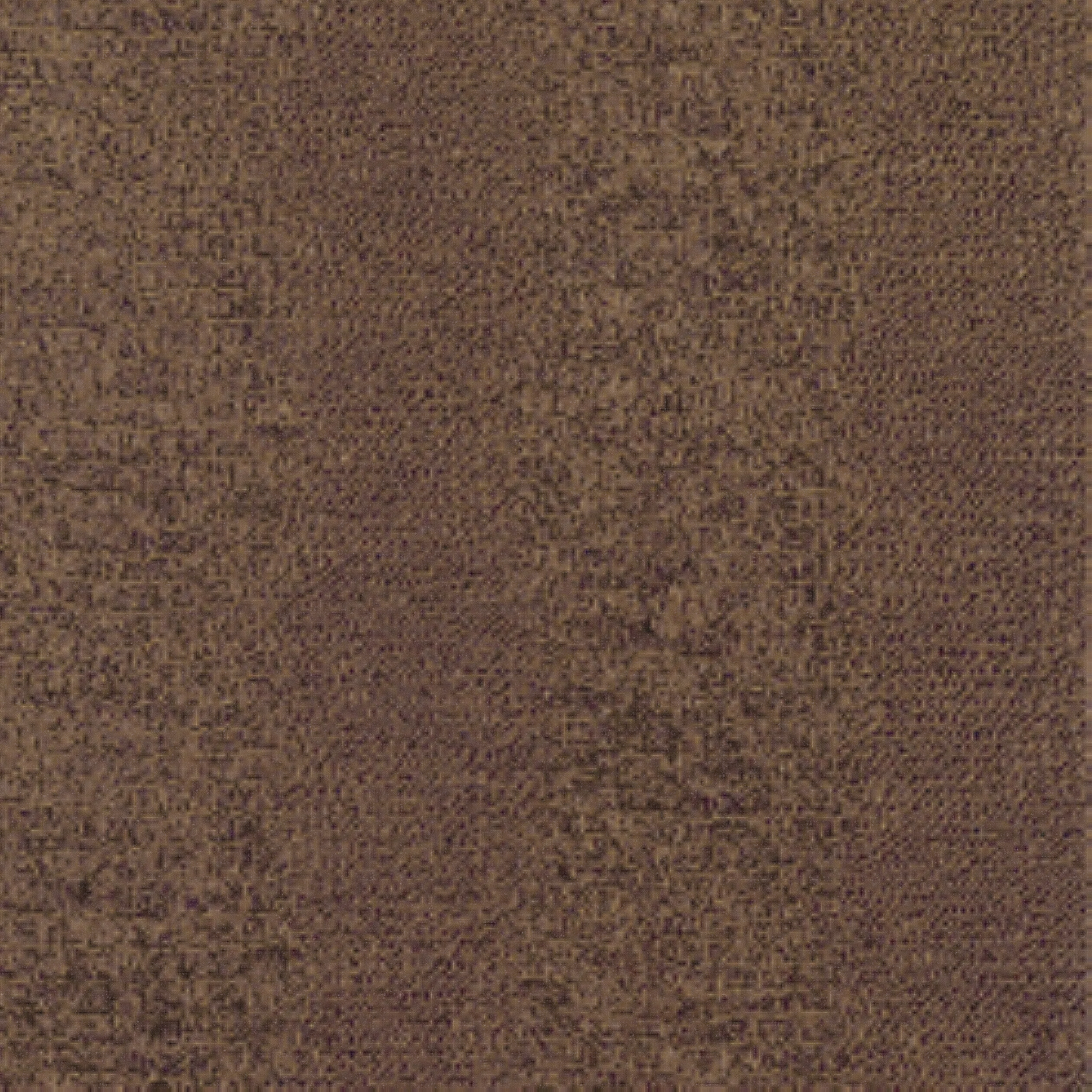 T7027 | Everglades – Brown