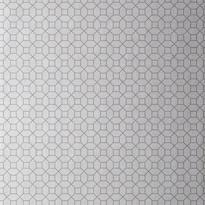 Thibaut Farris in Grey on Silver (T11024)