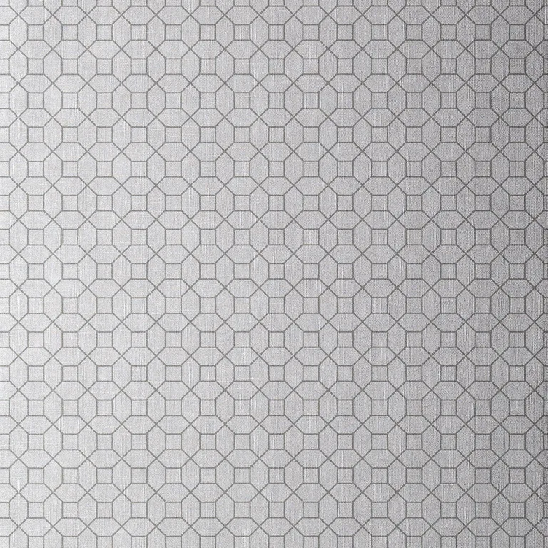 Thibaut Farris in Grey on Silver (T11024)