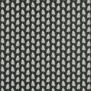 Thibaut Ferndale in Black (T10657)