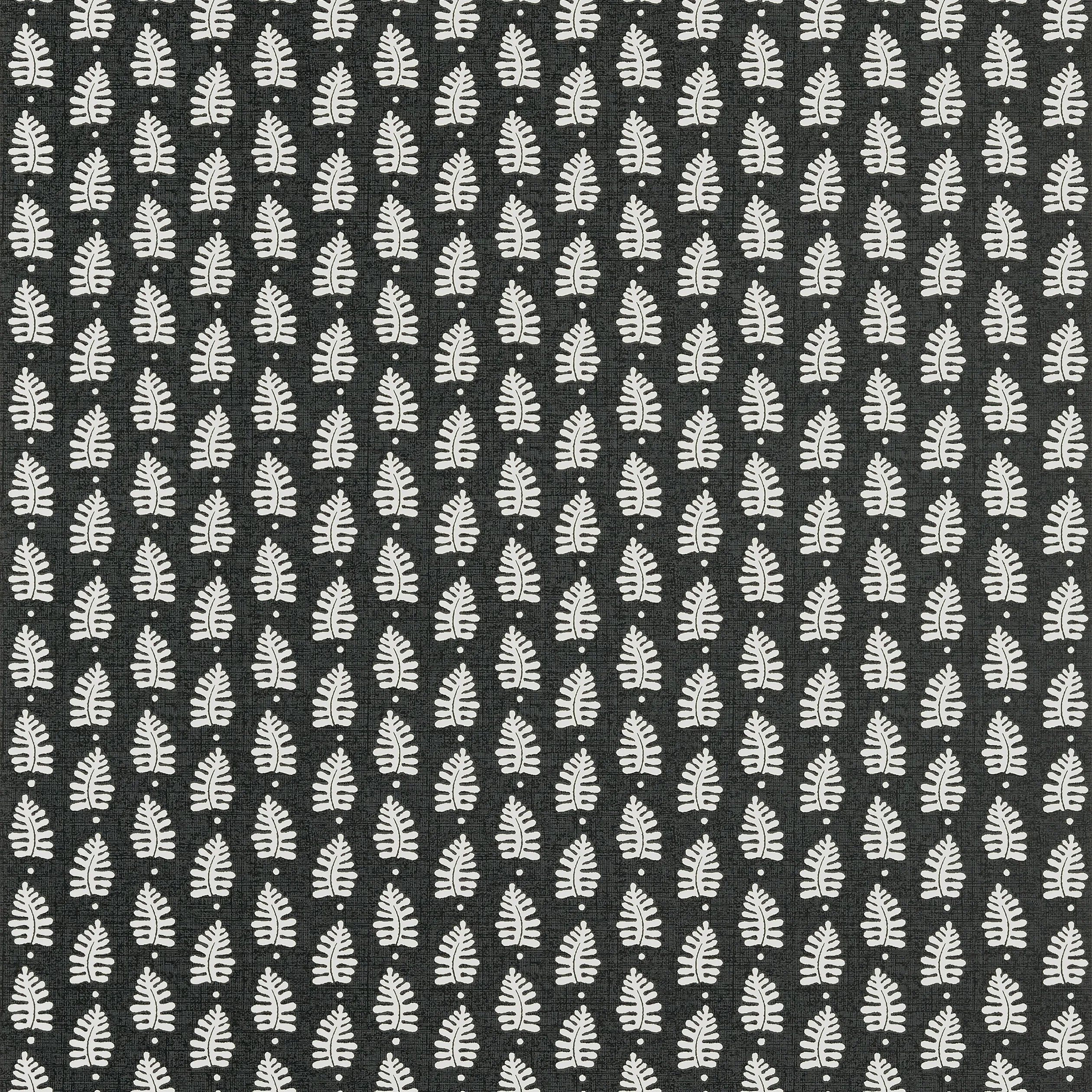 Thibaut Ferndale in Black (T10657)