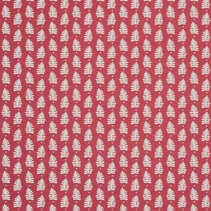 Thibaut Ferndale in Pink (T10655)