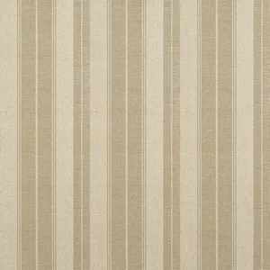 Thibaut Frisco Stripe in Brown (T44009)