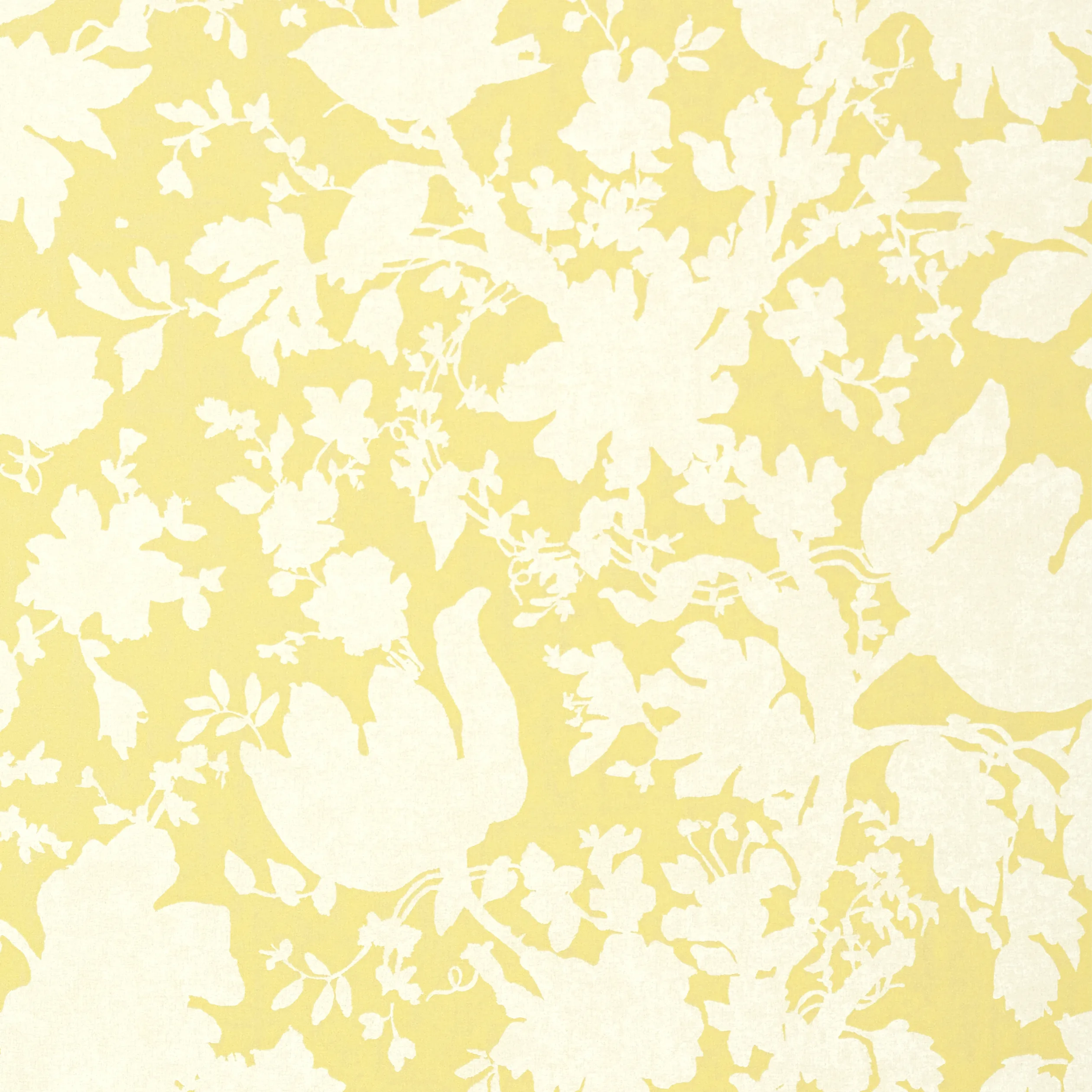 Anna French Garden Silhouette in Citron (AT6041)