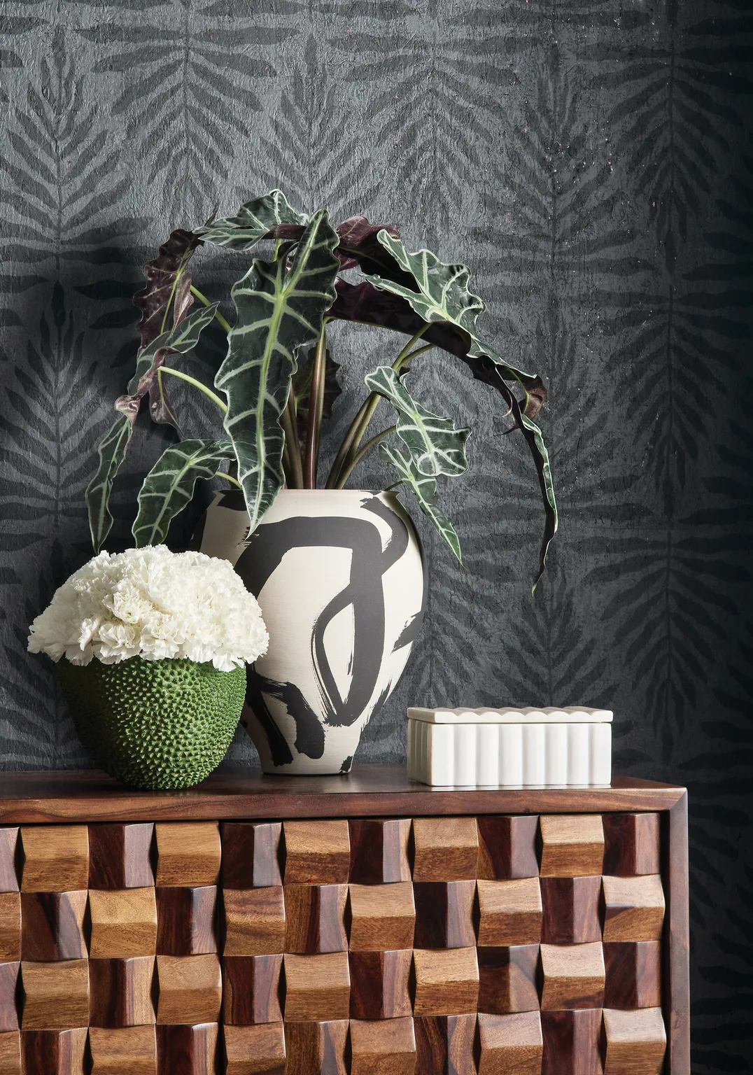 Thibaut Gasparilla in Black (T15814)