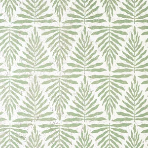 Thibaut Gasparilla in Willow (T15811)