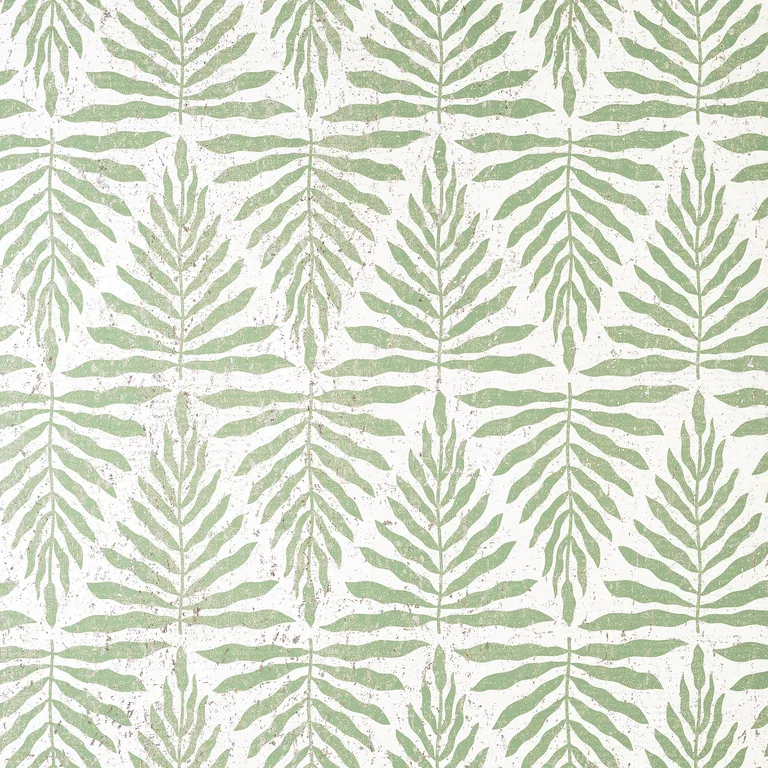 Thibaut Gasparilla in Willow (T15811)