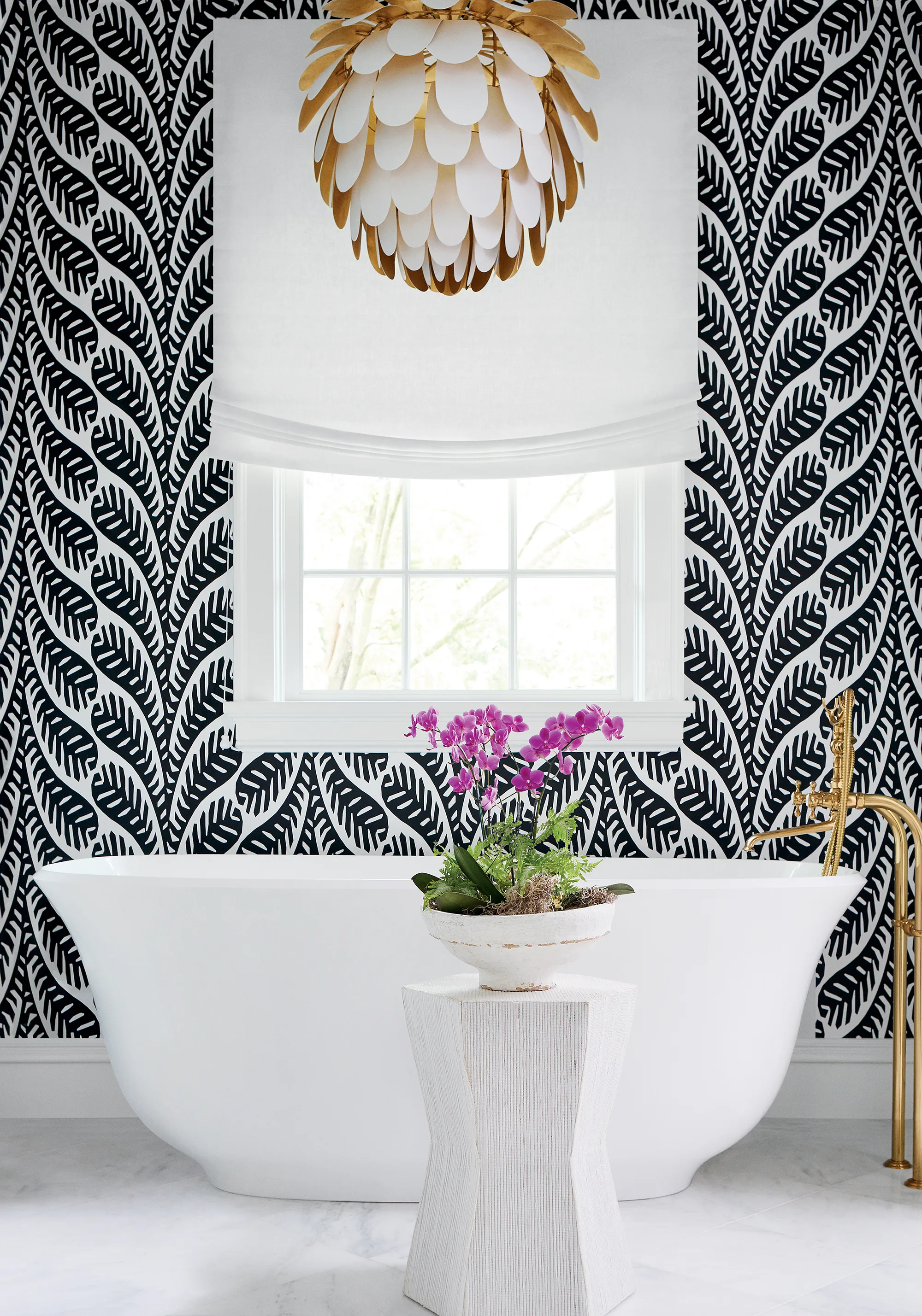 Thibaut Ginger in Black (T20830)