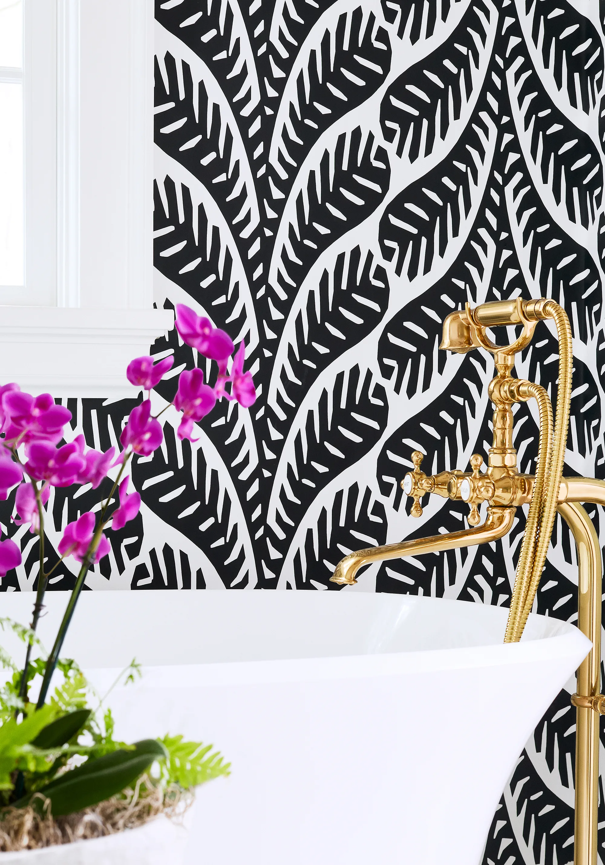 Thibaut Ginger in Black (T20830)