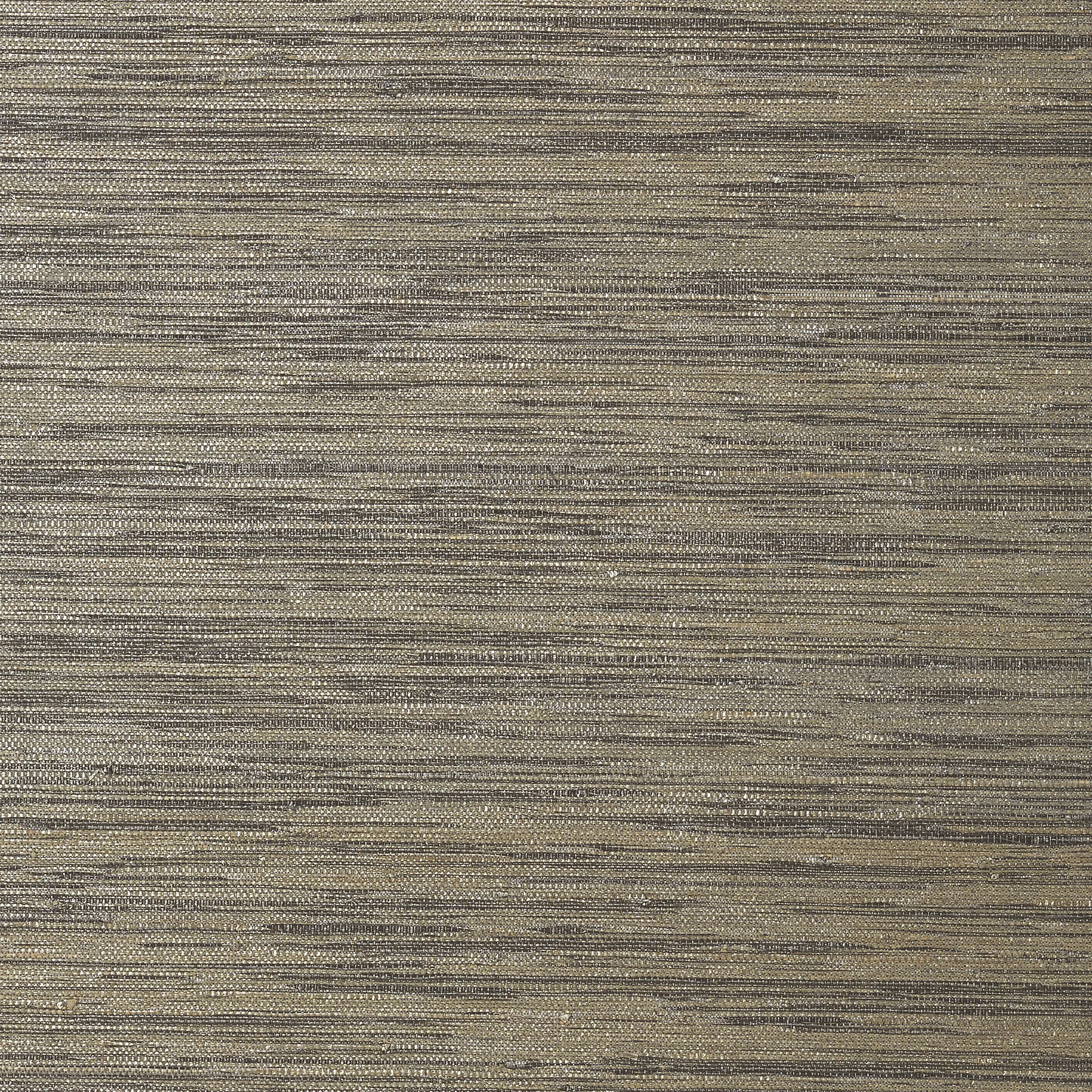 Thibaut Gulf Shore in Charcoal (T41113)