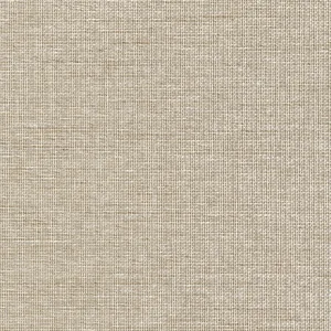 Thibaut Harrison in Beige (T10373)