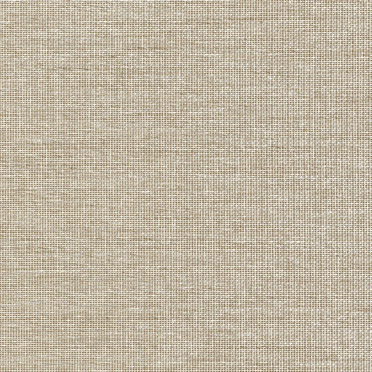 Thibaut Harrison in Beige (T10373)