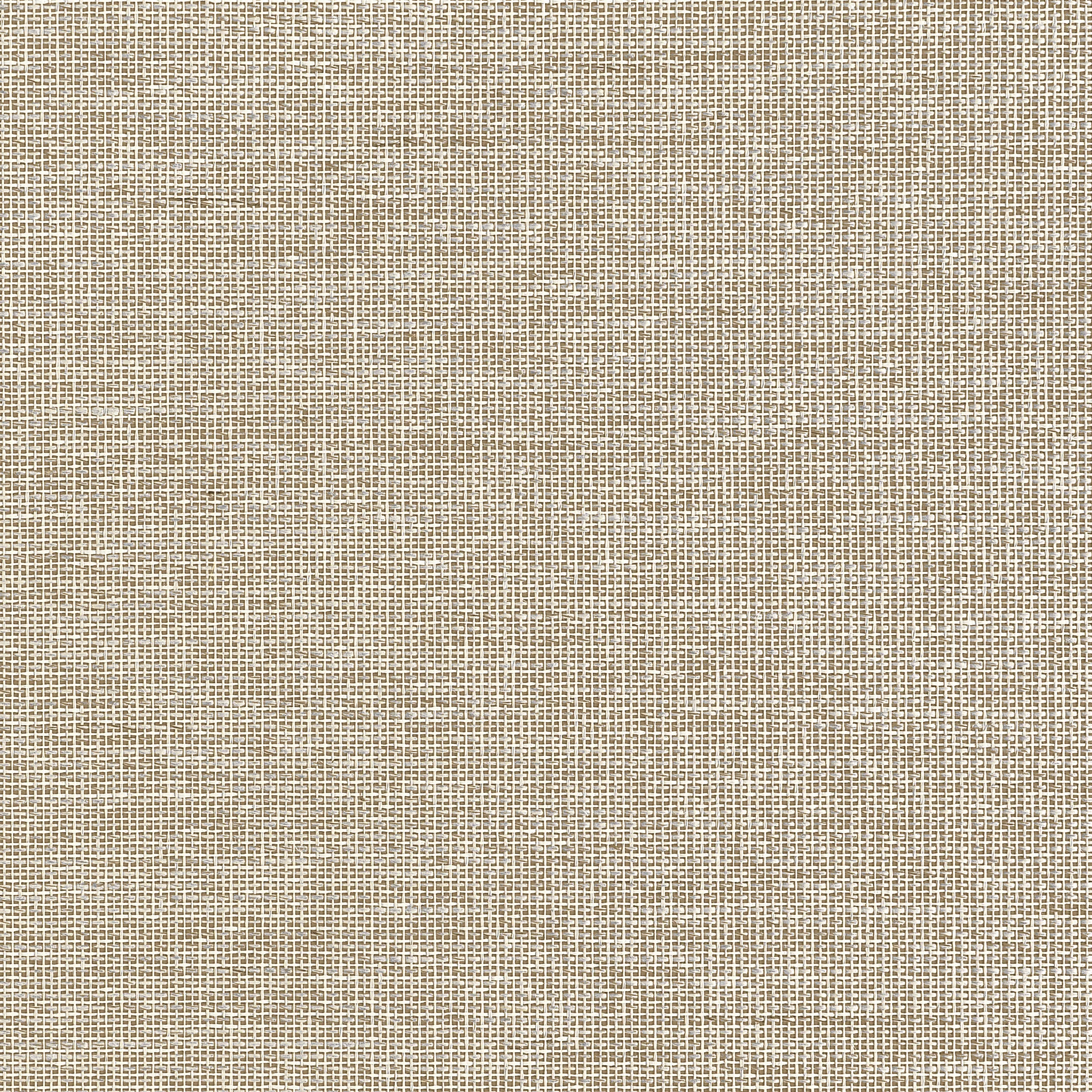 Thibaut Harrison in Beige (T10373)