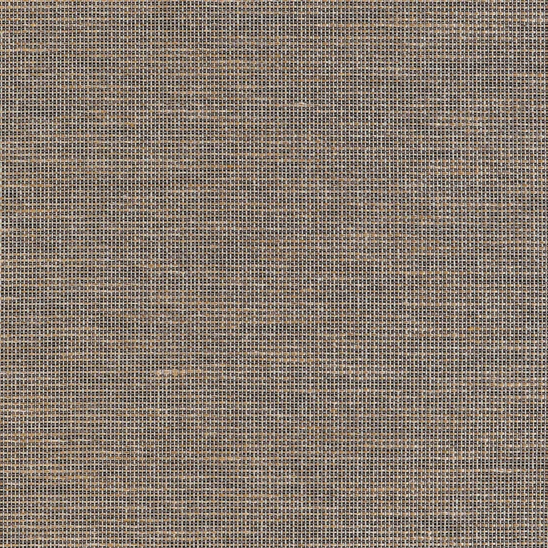Thibaut Harrison in Black (T10378)
