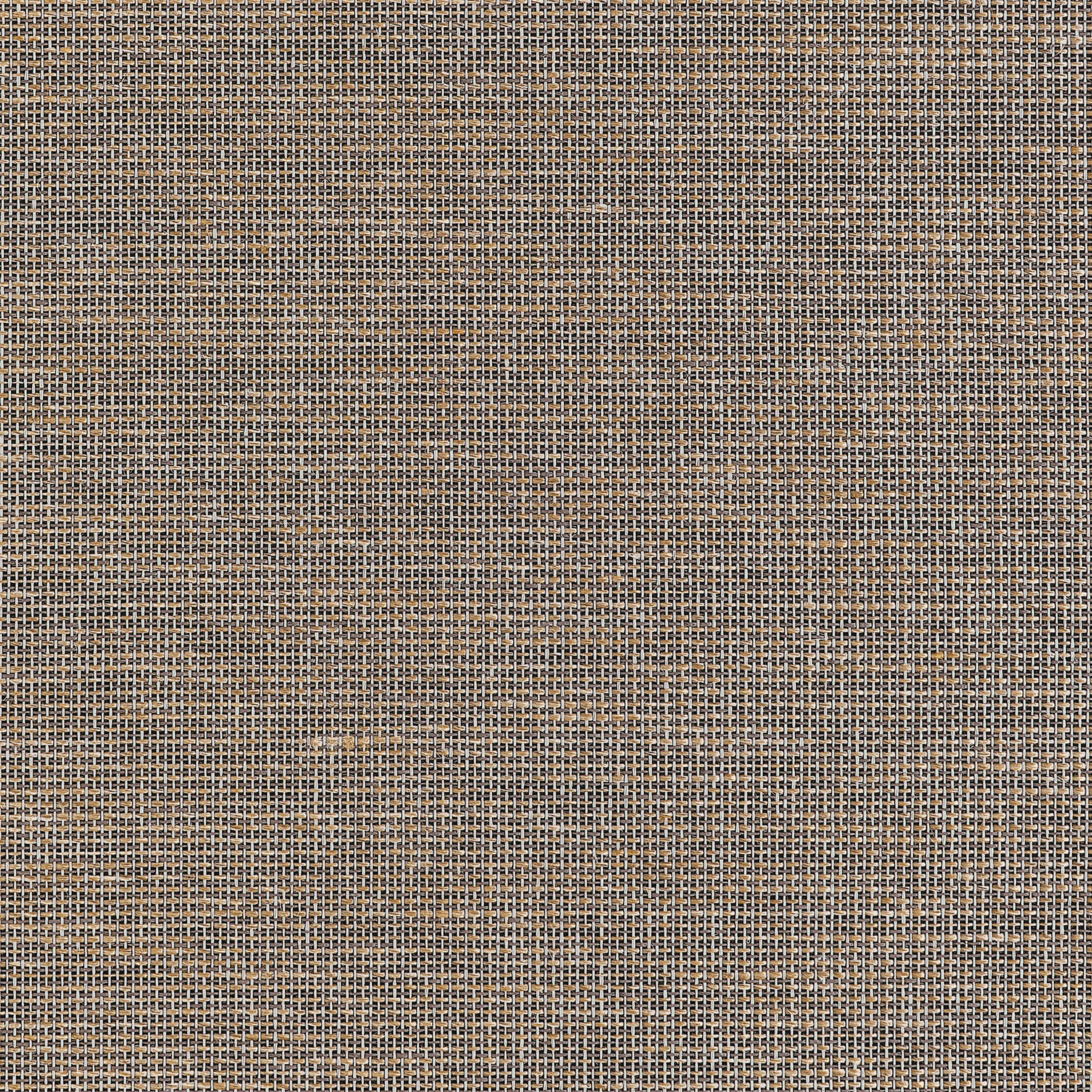 Thibaut Harrison in Black (T10378)