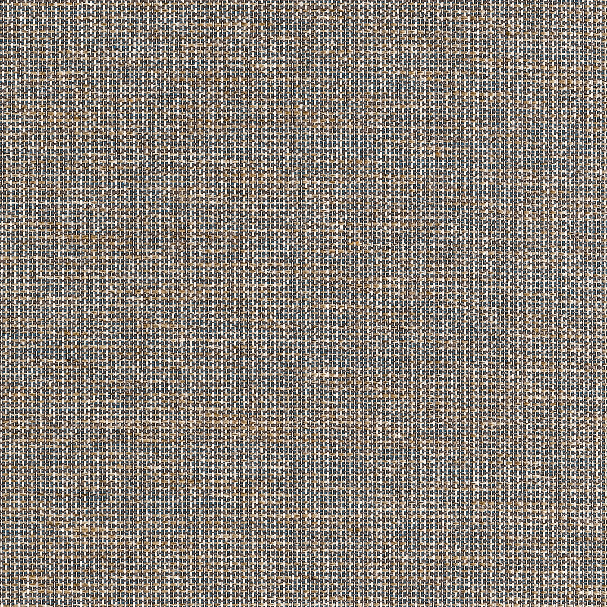 Thibaut Harrison in Blue and Tan (T10379)