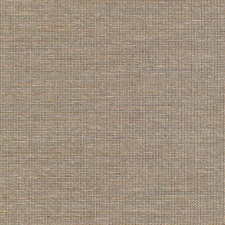 Thibaut Harrison in Brown (T10380)