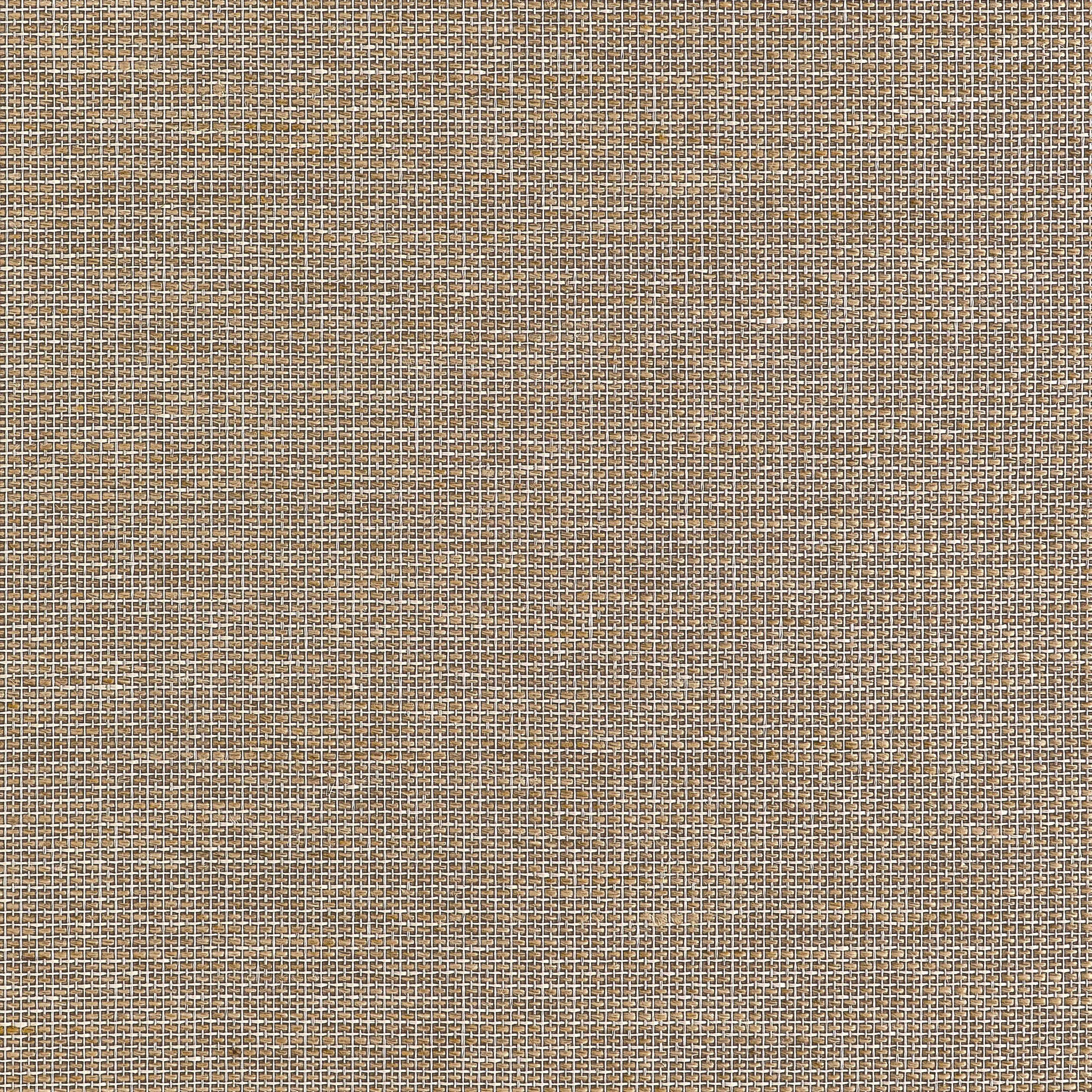 Thibaut Harrison in Brown (T10380)