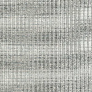 Thibaut Harrison in Grey Fog (T10375)