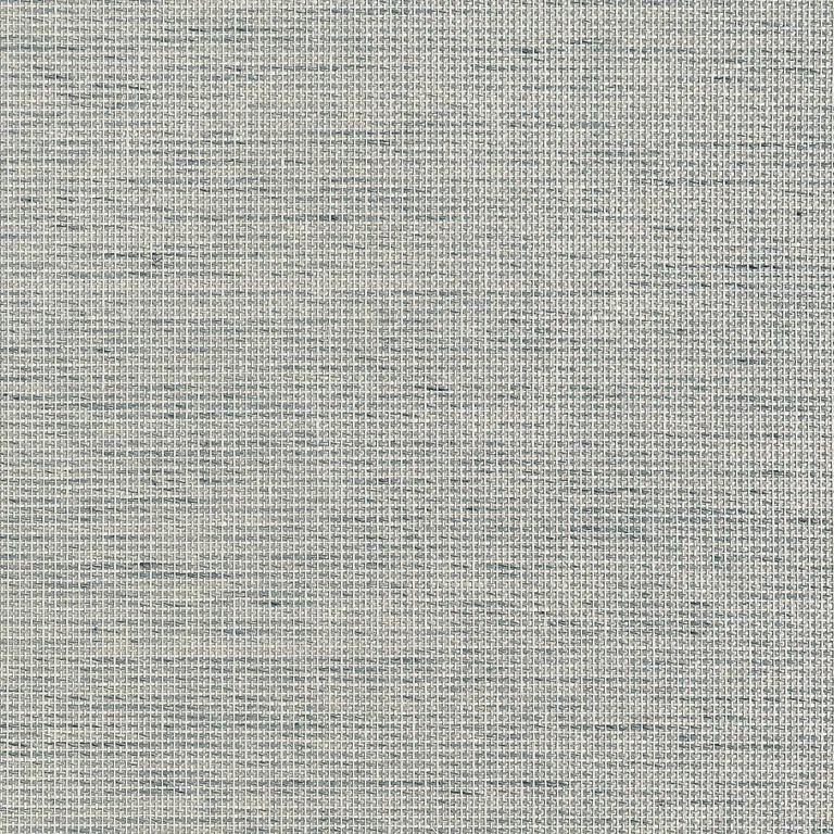 Thibaut Harrison in Grey Fog (T10375)