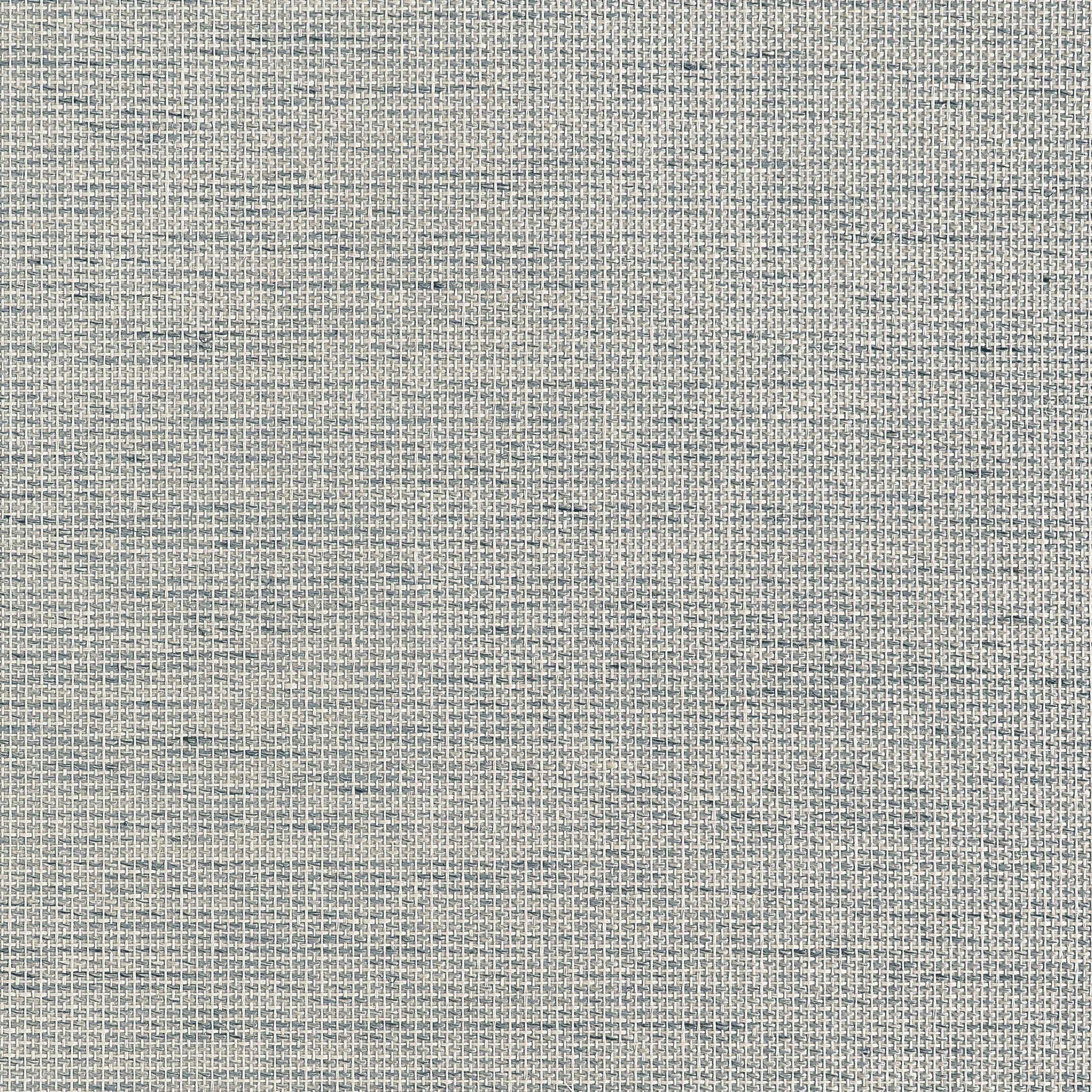 Thibaut Harrison in Grey Fog (T10375)