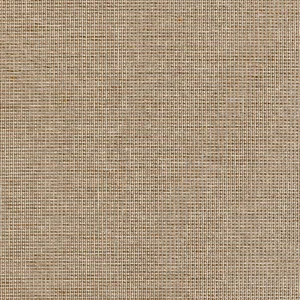 Thibaut Harrison in Tan (T10371)