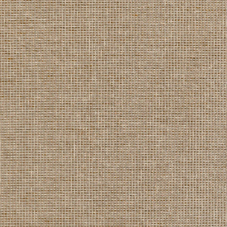 Thibaut Harrison in Tan (T10371)