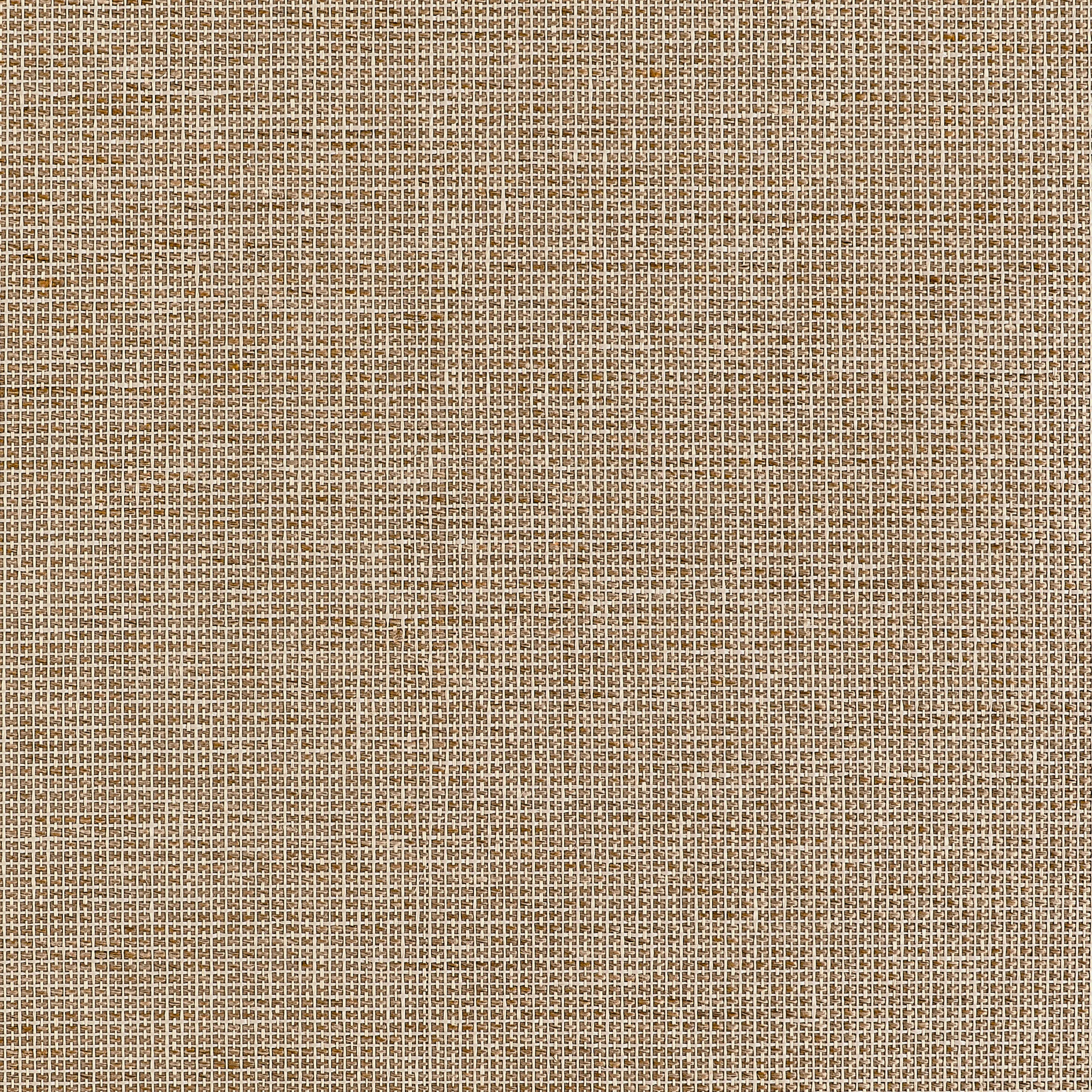 Thibaut Harrison in Tan (T10371)