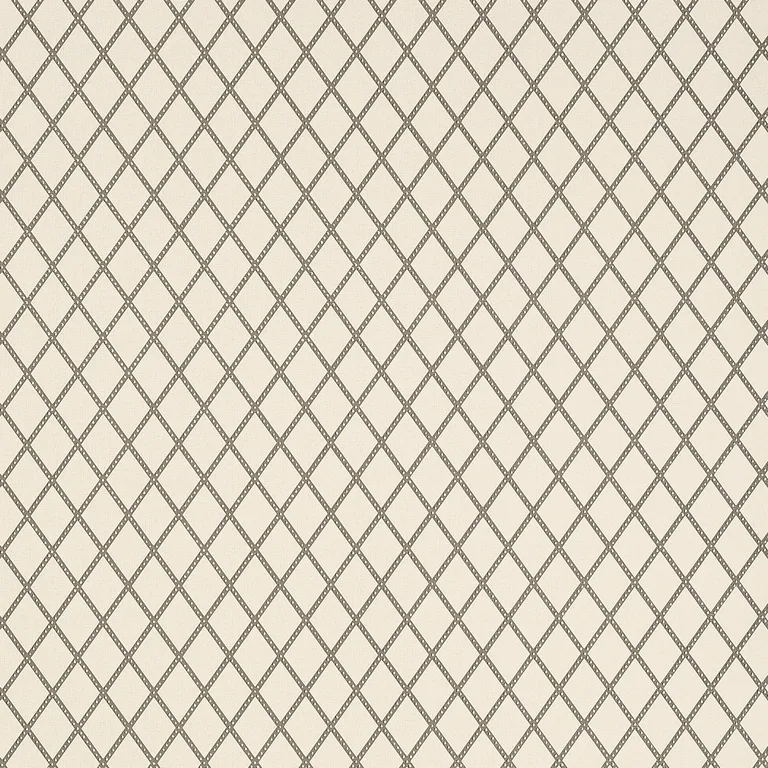 Thibaut Hartmann Trellis in Charcoal on Off White (T10068)