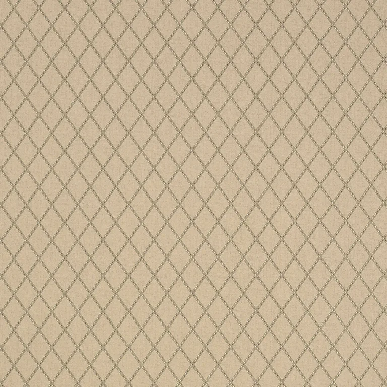 Thibaut Hartmann Trellis in Taupe (T10067)